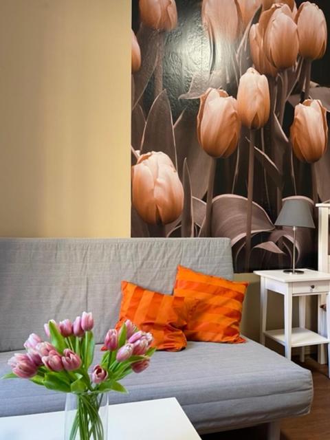 Apartmán Galerie Decin Exteriér fotografie